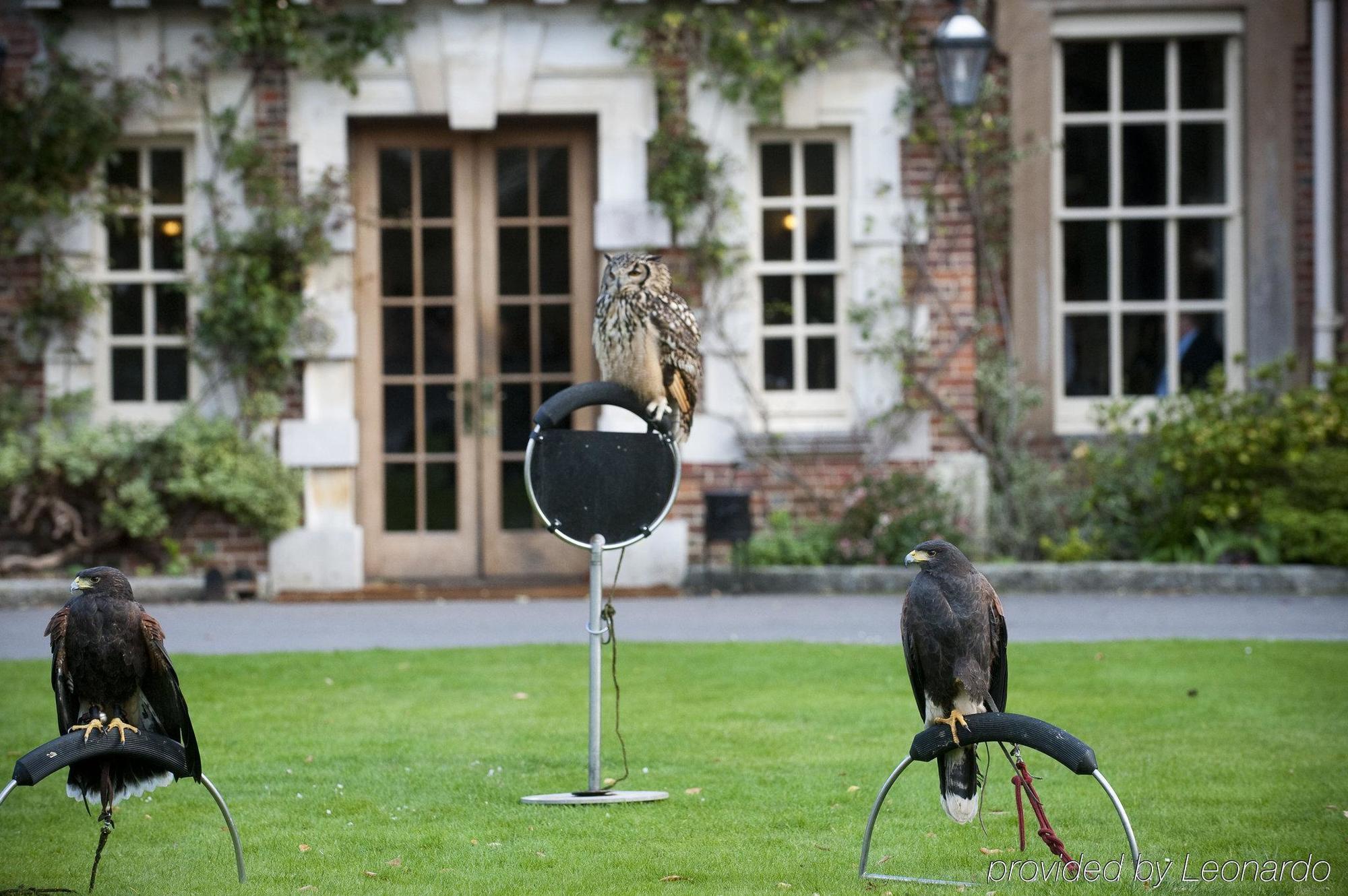 Hotel Lainston House Winchester Wyposażenia zdjęcie